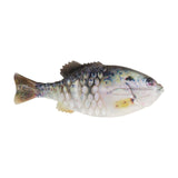 BERKLEY POWERBAIT GILLY